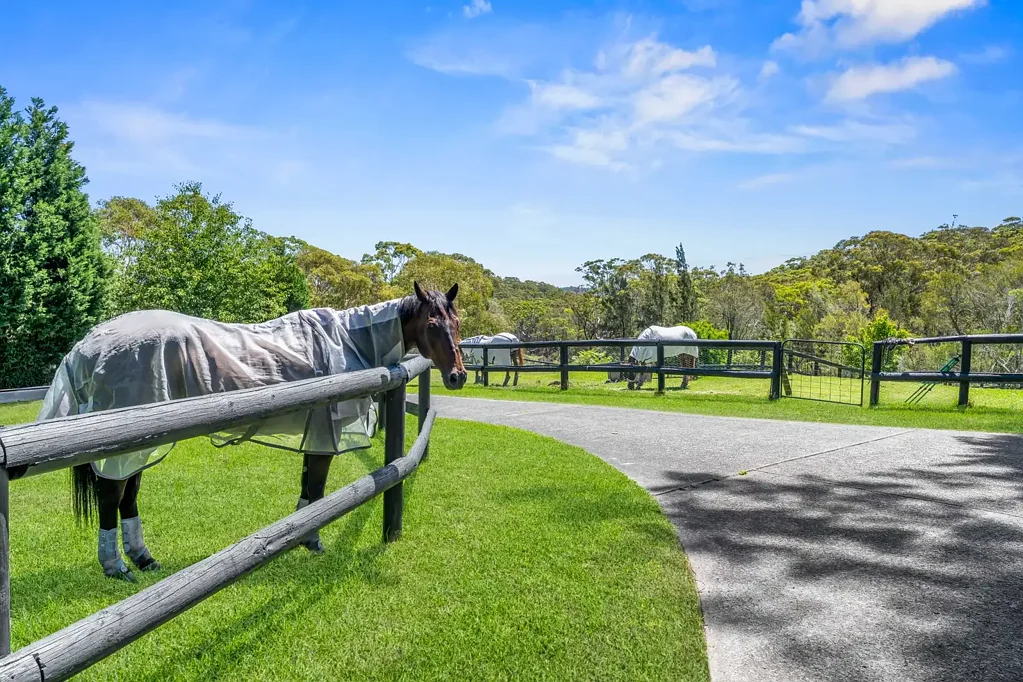 Duffys Forest 8غرفة نوم A Rare Acreage Opportunity - An Entertainer's & Equestrian Paradise