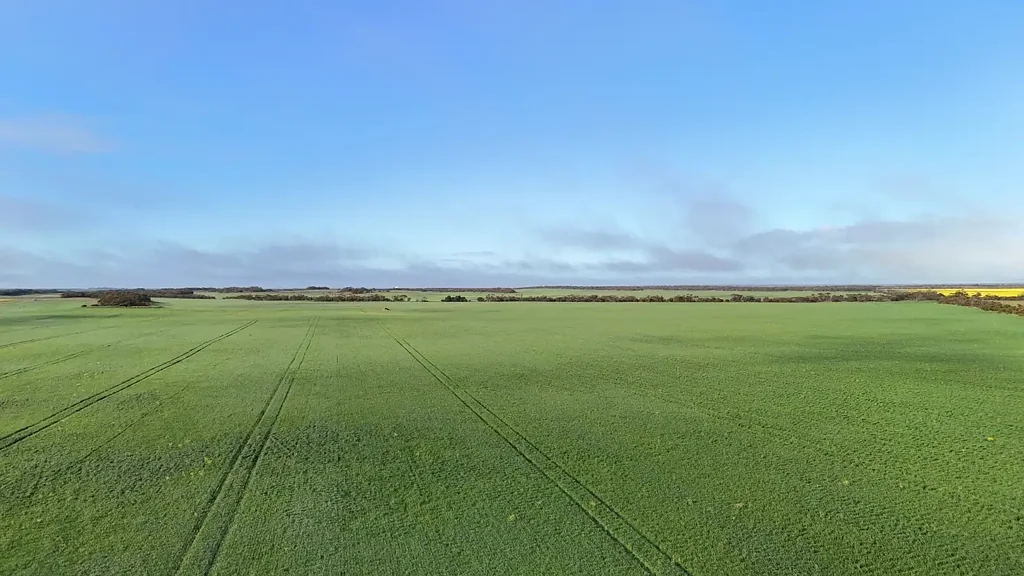 Kielpa Quality Eyre Peninsula Cropping Opportunity