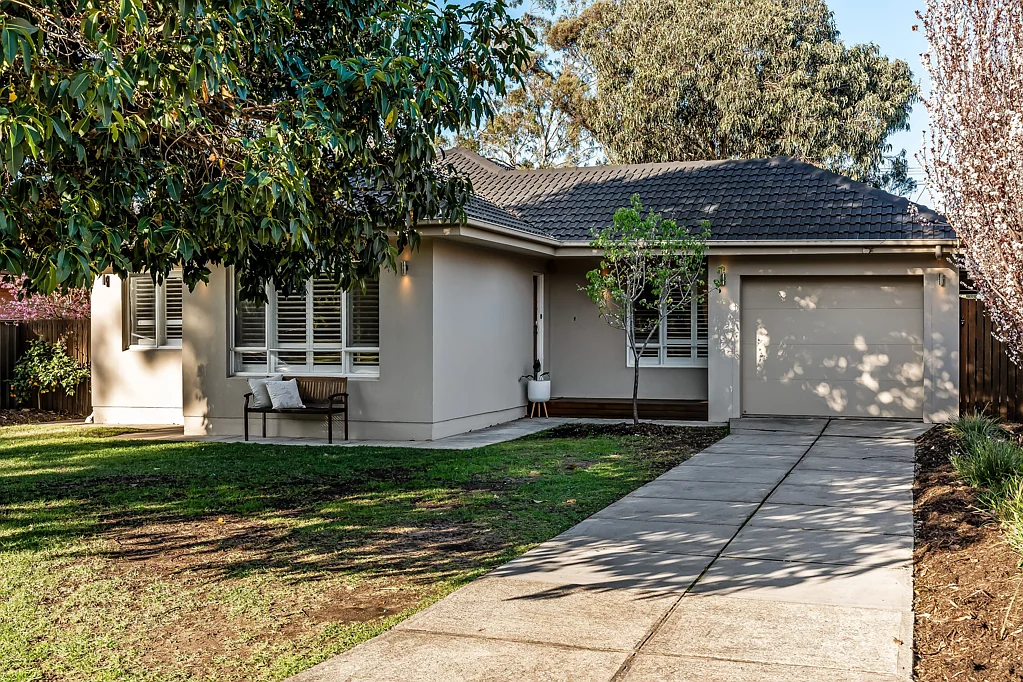 10 Nicholas Road, Marion, SA 5043
