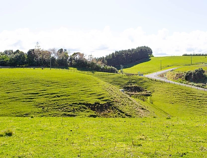 85 Mowhanau Drive, Kai Iwi Beach, Whanganui, Wanganui, 0房, 0浴, Lifestyle Section
