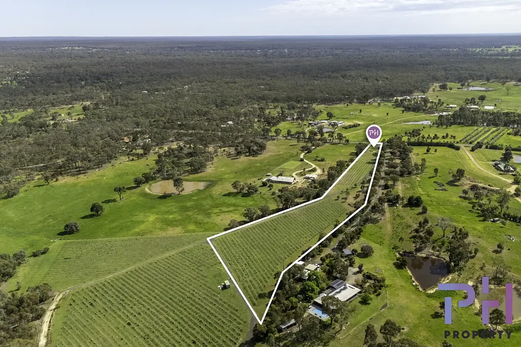 Strathfieldsaye  5-ACRE TREE CHANGE WITH A DIFFERENCE