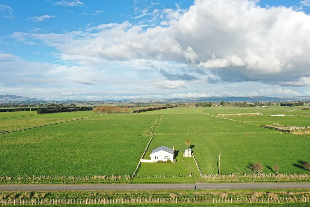 Feilding 2कमरा Fertile flat land 9.81 ha