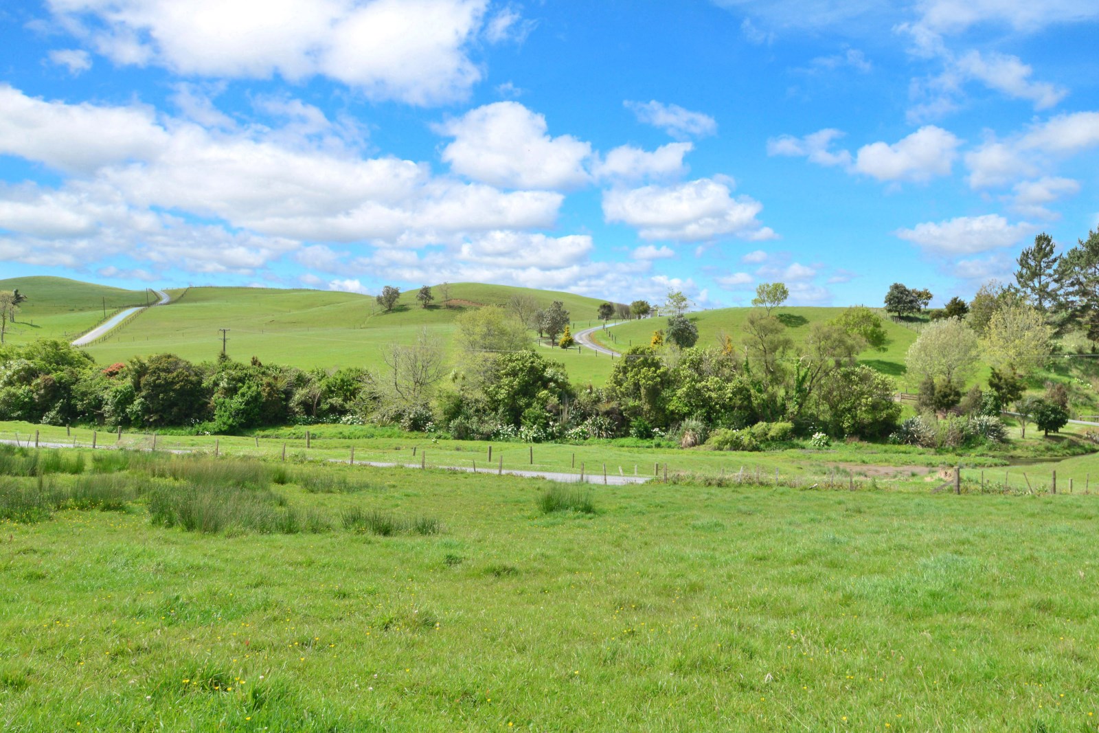 19 Borrows Road, Wellsford, Auckland - Rodney, 0 chambres, 0 salles de bain