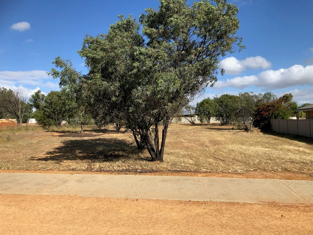23 Bowen Street, Goomalling, WA 6460