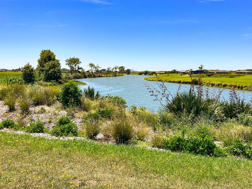 Waipu Grandstand River Views