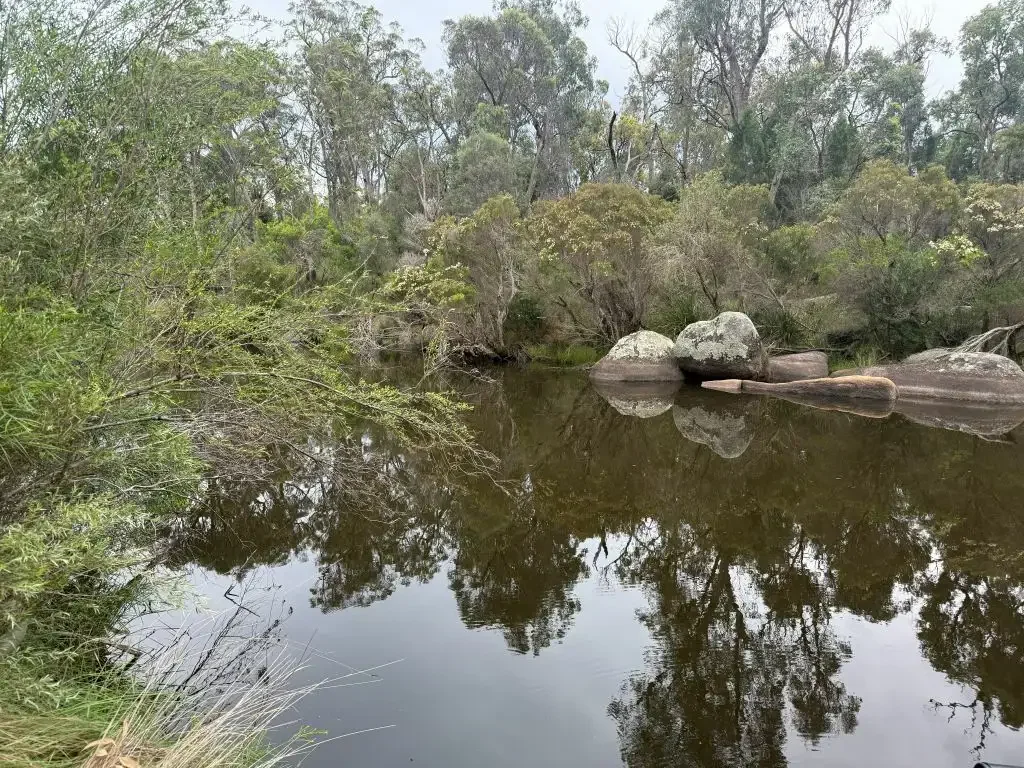 Ballandean Beautiful Ballandean / Fletcher