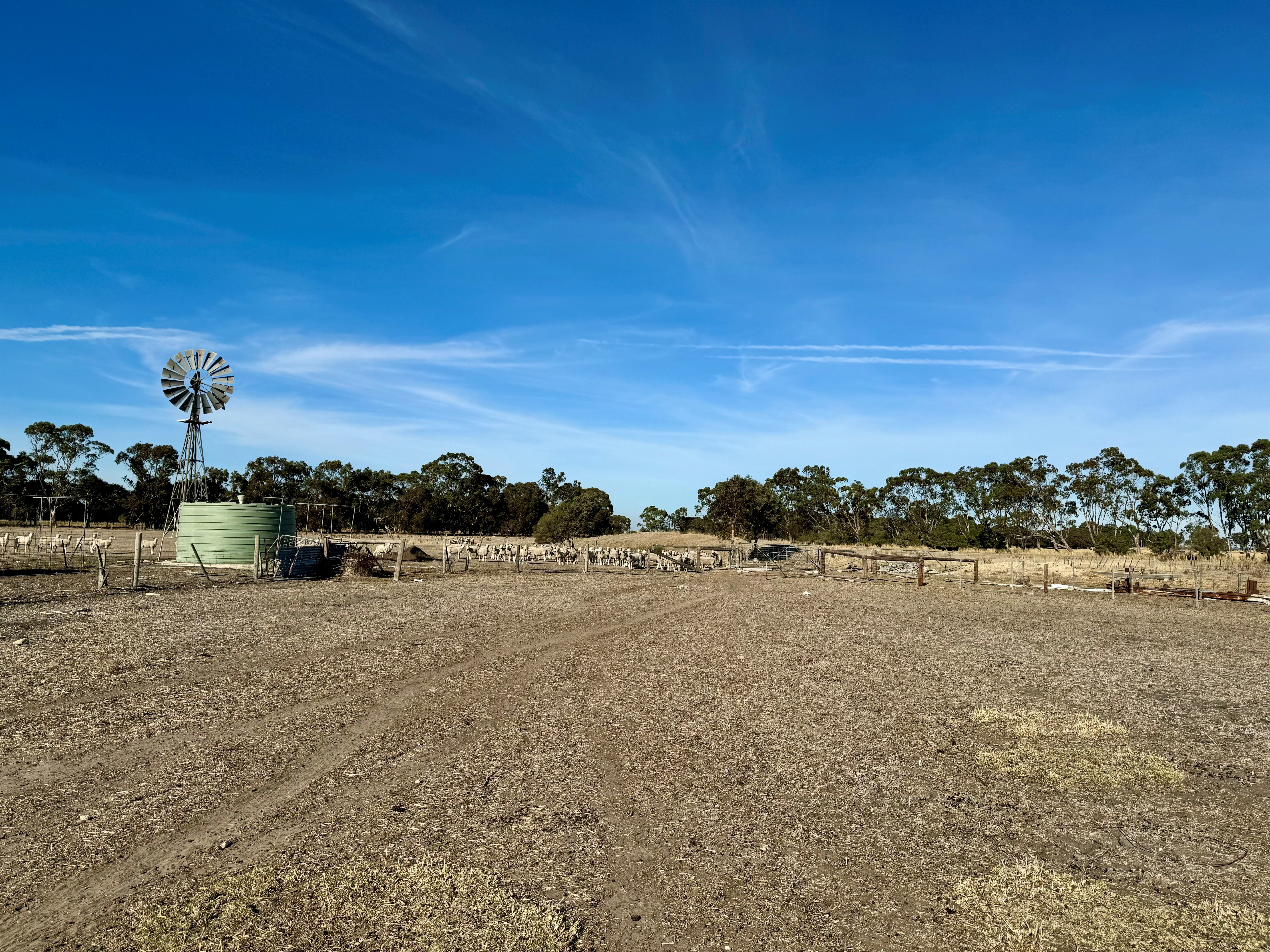 45 MOYHALL RD, NARACOORTE SA 5271, 0部屋, 0バスルーム, Lifestyle Property