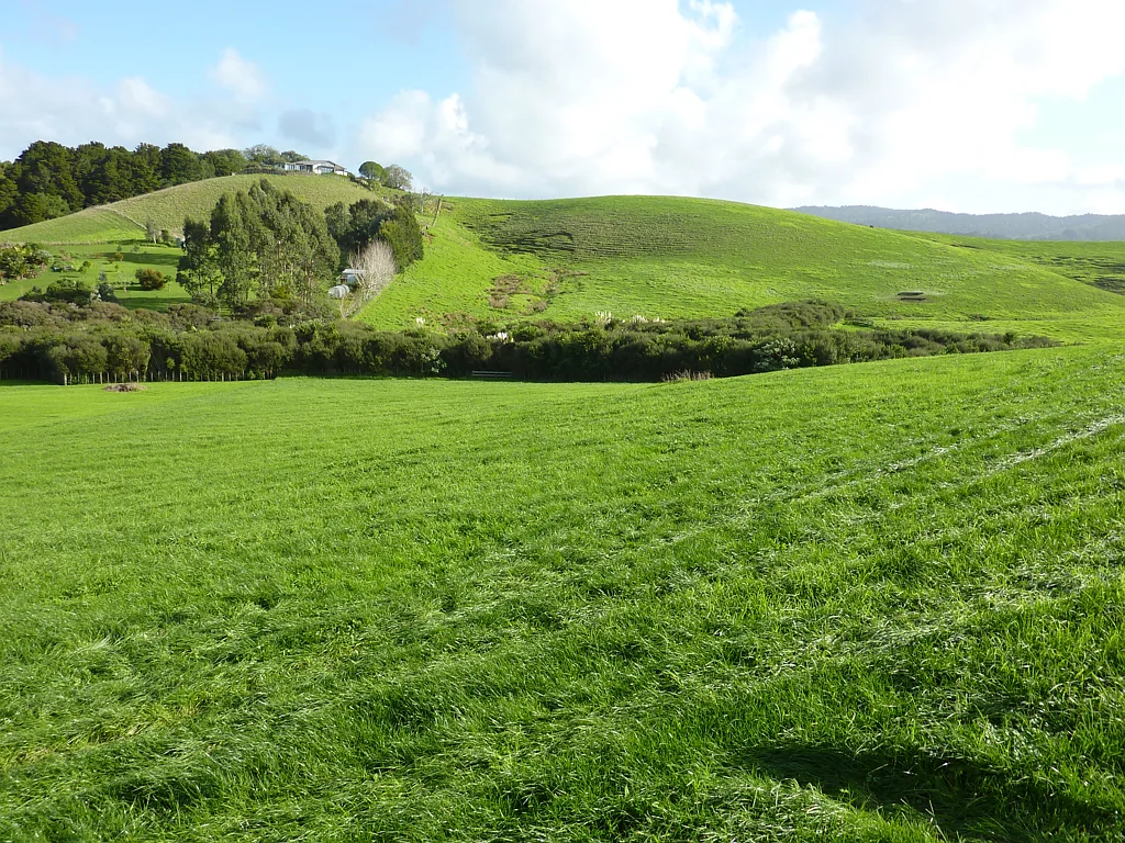 Matakana Luxury Lifestyle Living in Matakana