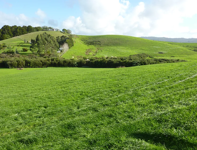 地址保密, Matakana, Rodney, 0 ਕਮਰੇ, 0 ਬਾਥਰੂਮ, Section