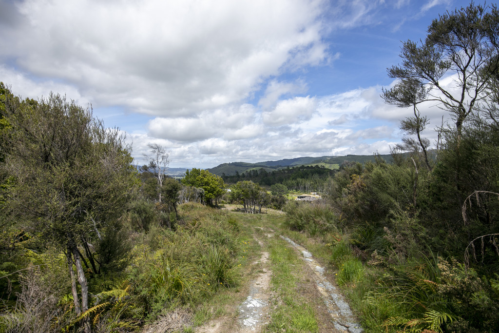 235a Fairview Drive, Birchville, Upper Hutt, 3 habitaciones, 0 baños