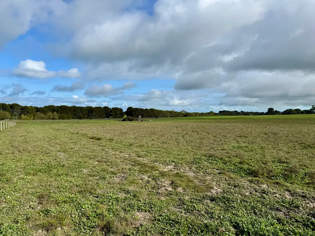 Naracoorte Great Starter Block / Hobby Farm - 38.2 acres