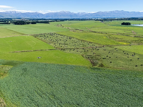 Fairlie  13% + ROC - Central South Island dairy opportunity