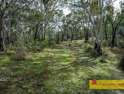 3361 Hill End Road, Mudgee, North West, 0房, 0浴, Lifestyle Property