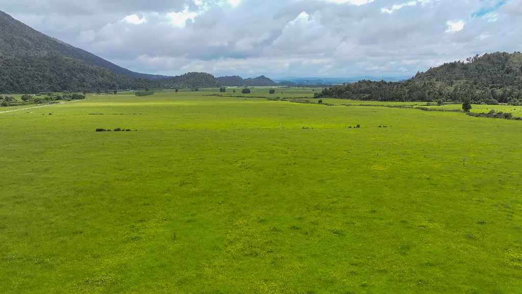 Moana / Lake Brunner 320 Hectare Dry Stock Grazing Property