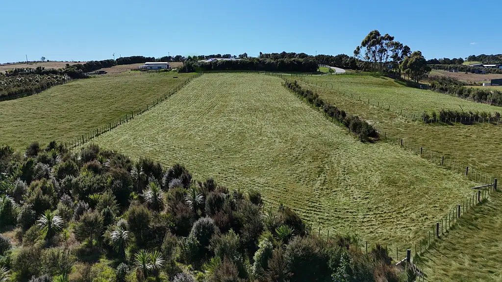 Mangawhai Total Tar Seal Appeal!