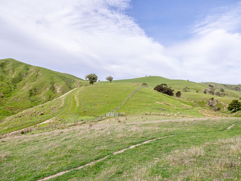 Longbush Road, Longbush, Carterton, 0房, 1浴