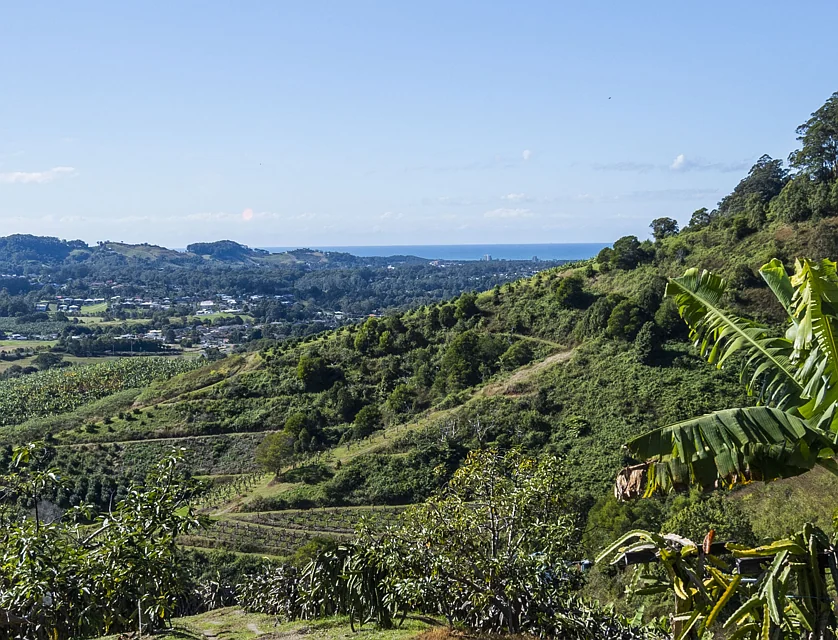 115B-115C Bennetts Road Coffs Harbour, Coffs Harbour, North Coast, 0 ਕਮਰੇ, 0 ਬਾਥਰੂਮ, Lifestyle Property