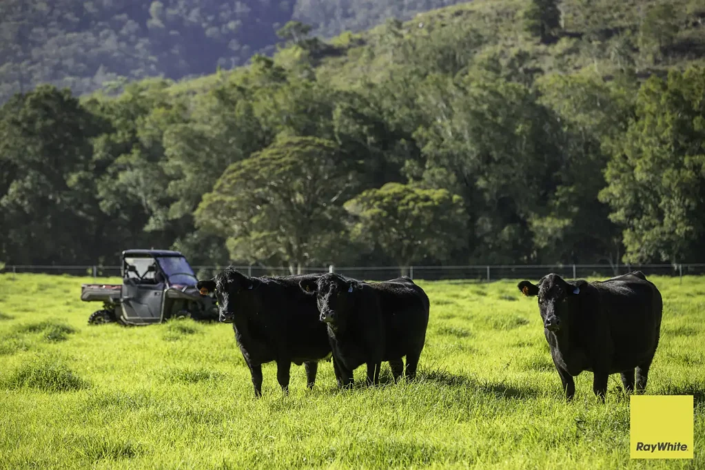 Wards River Riverfront Grazing Meets Picture Perfect Production At Scale