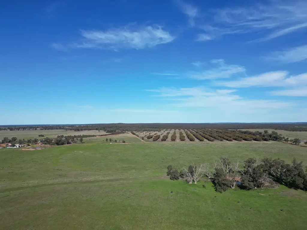 West Wyalong  'Macoma' | First time on the Market in 45 years
1268.65 Ha 3134.90 Ac