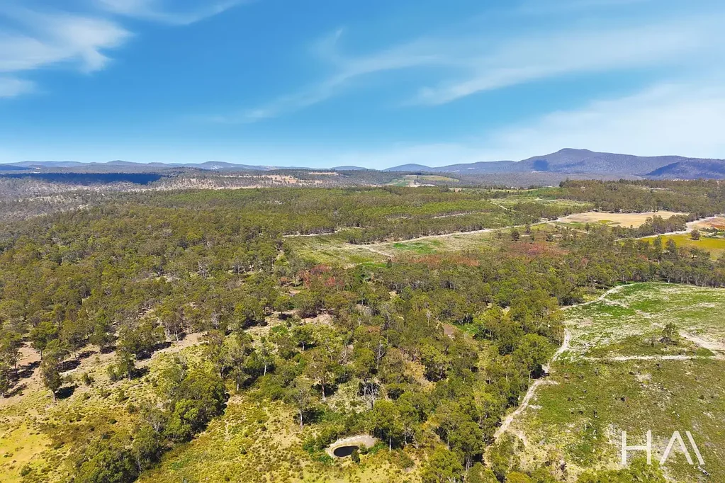 Levendale 296 Acres of Endless Possibilities