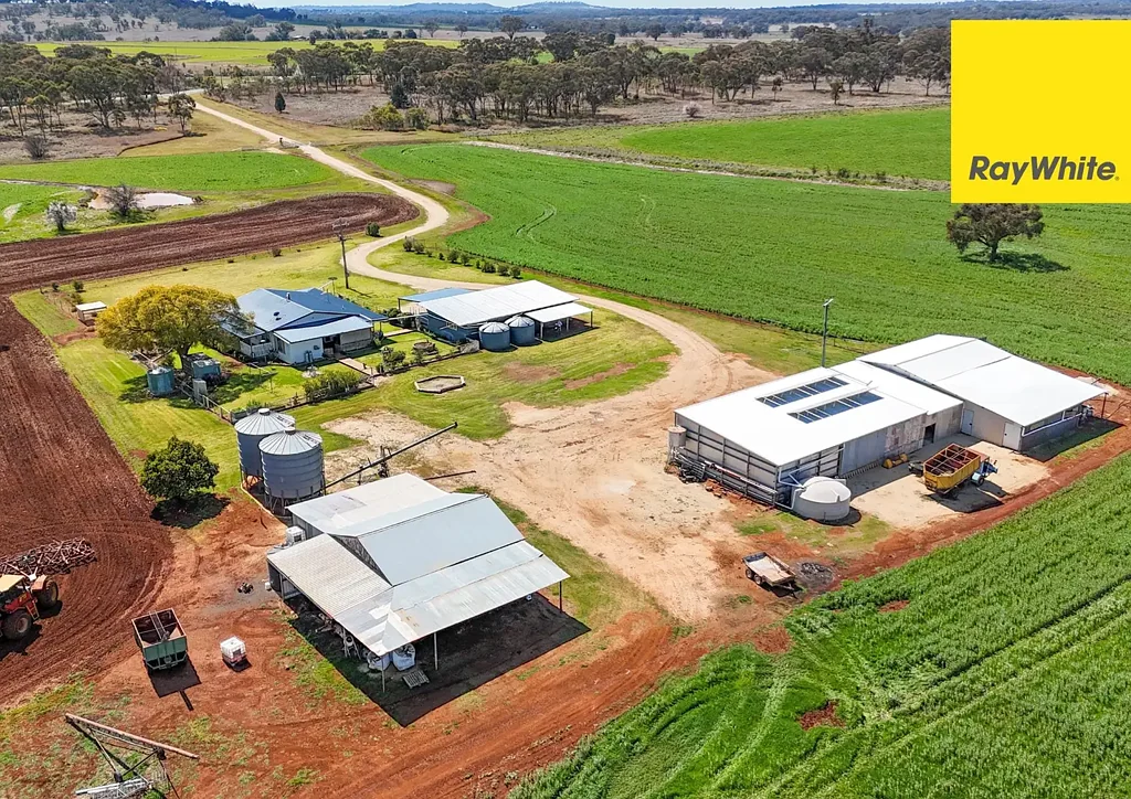 Delungra  Highly Sought-after, Productive and Reliable!