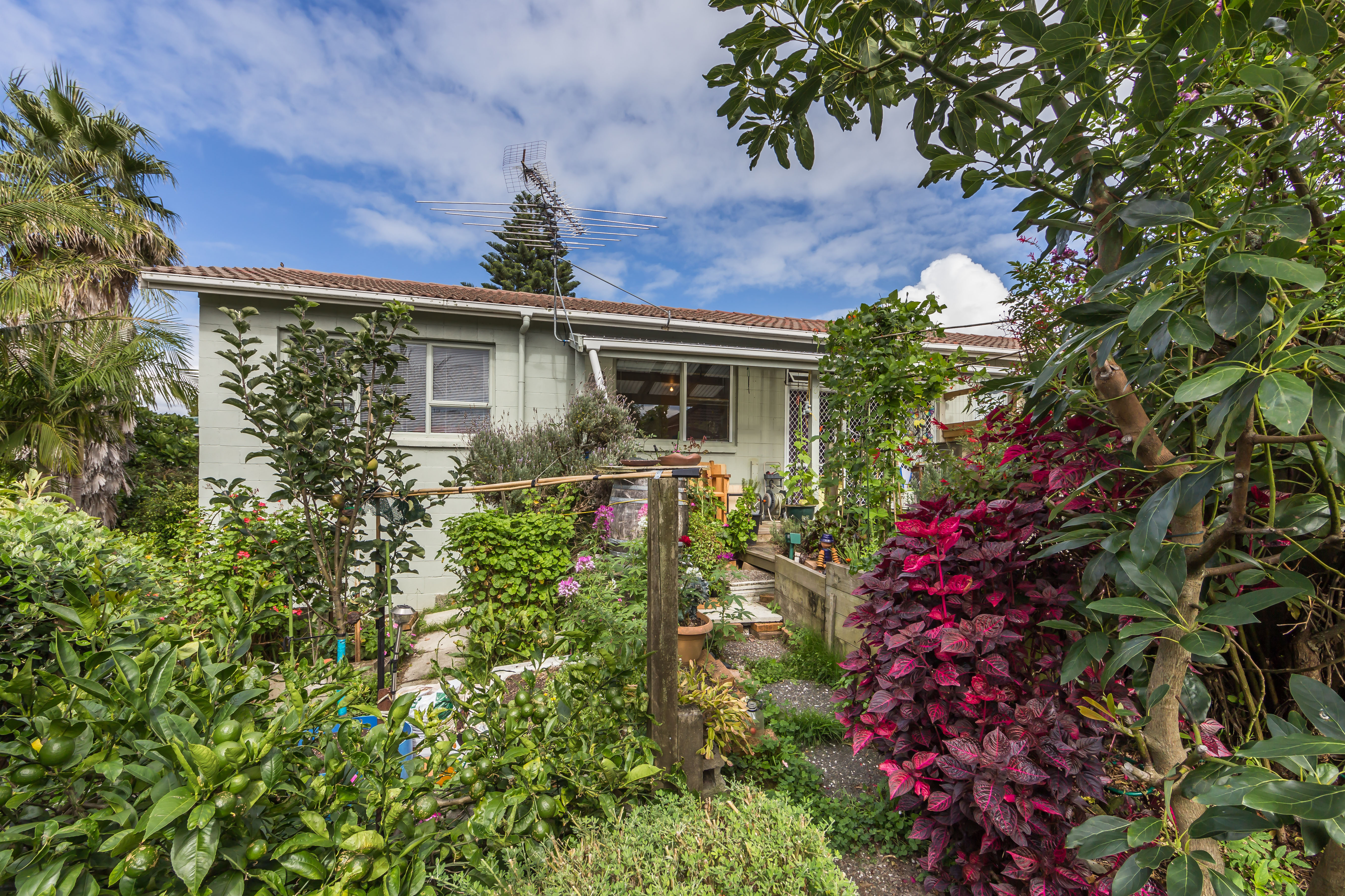 Residential  Mixed Housing Suburban Zone