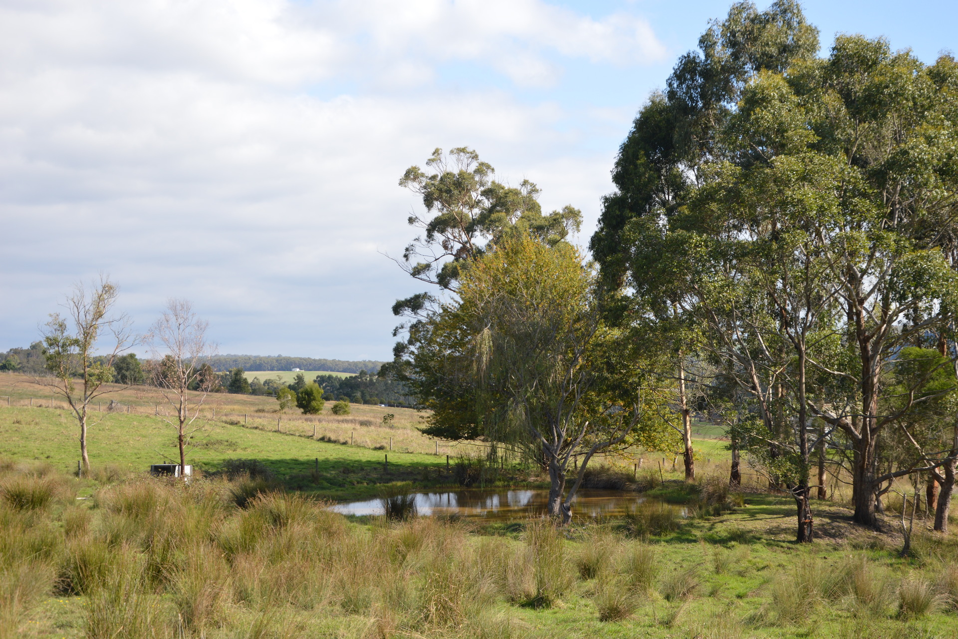 16B ANTONIA RD, BOOLARRA VIC 3870, 0房, 0浴, Lifestyle Property