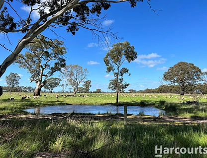 . Charam-Wombelano Road, Charam, Horsham, 0 침실, 0 욕실, Lifestyle Property