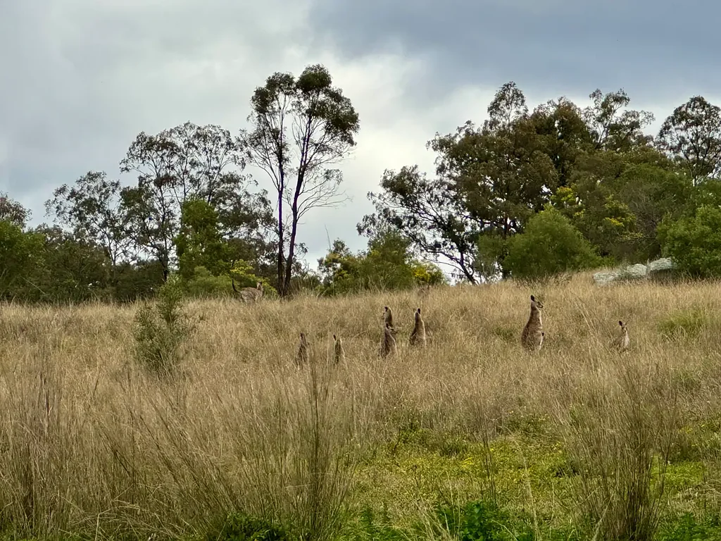 Denman "Top Rosemount" - Your Private Rural Escape Near Denman