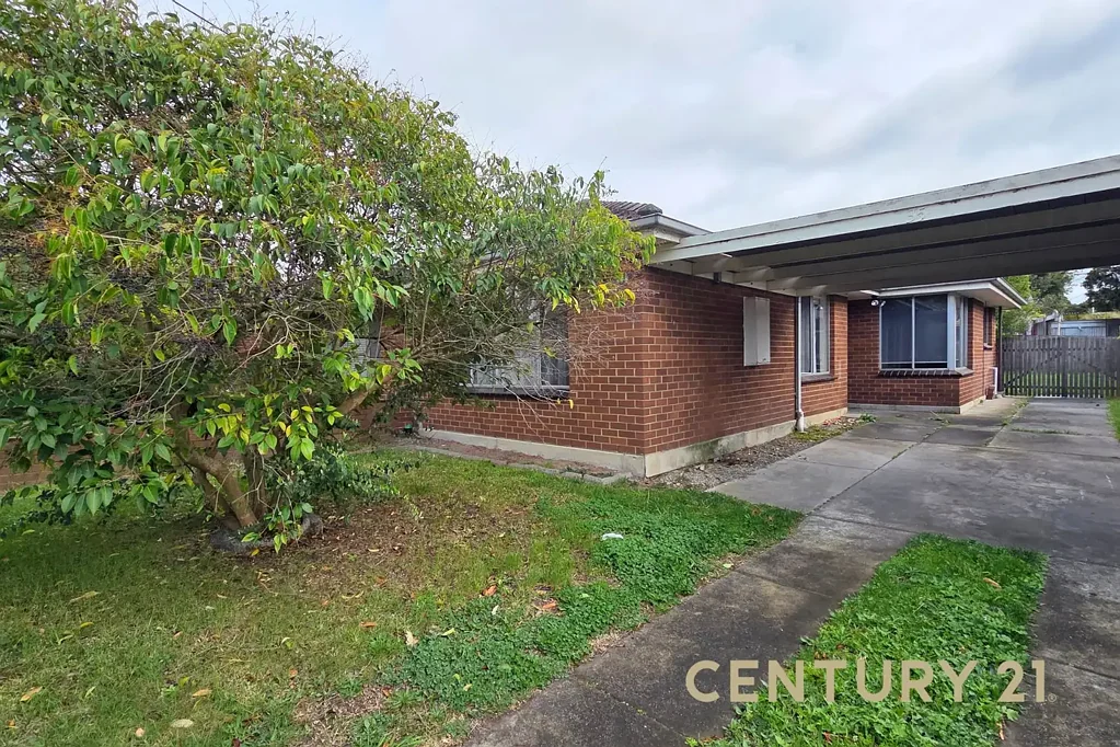 Bright & Spacious Home on Carlton Road