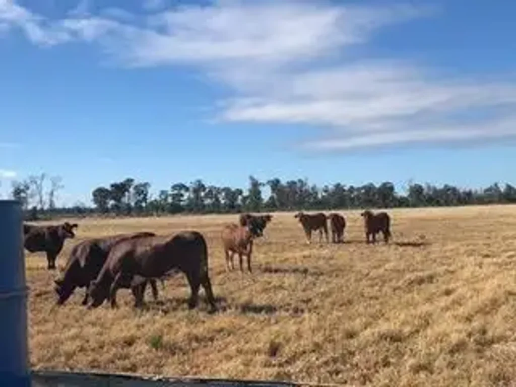 Goondiwindi  Goondiwindi. Position. Fencing. Water. Soil. Access