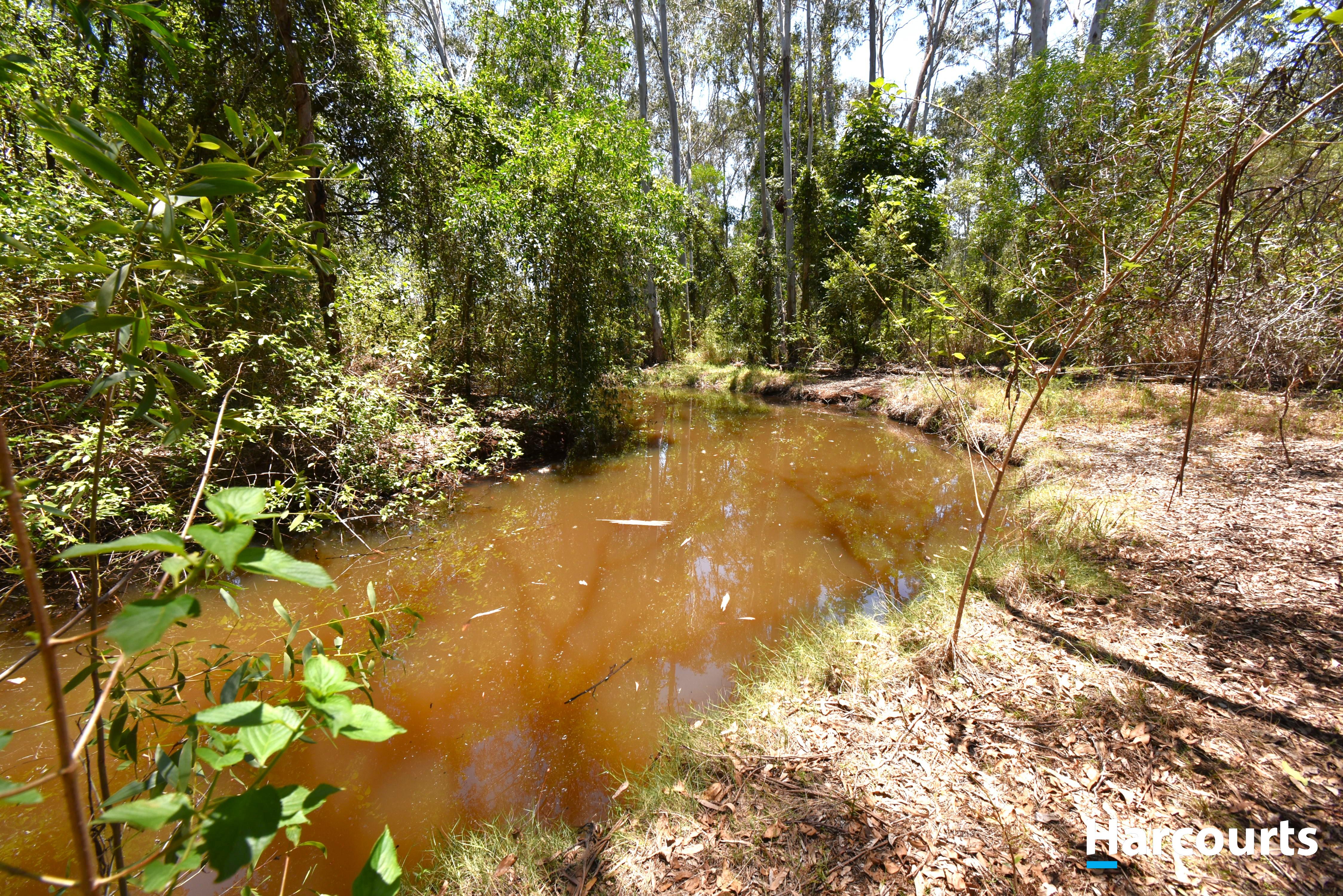 219 COOKS RD, SOUTH ISIS QLD 4660, 0 Schlafzimmer, 0 Badezimmer, Section