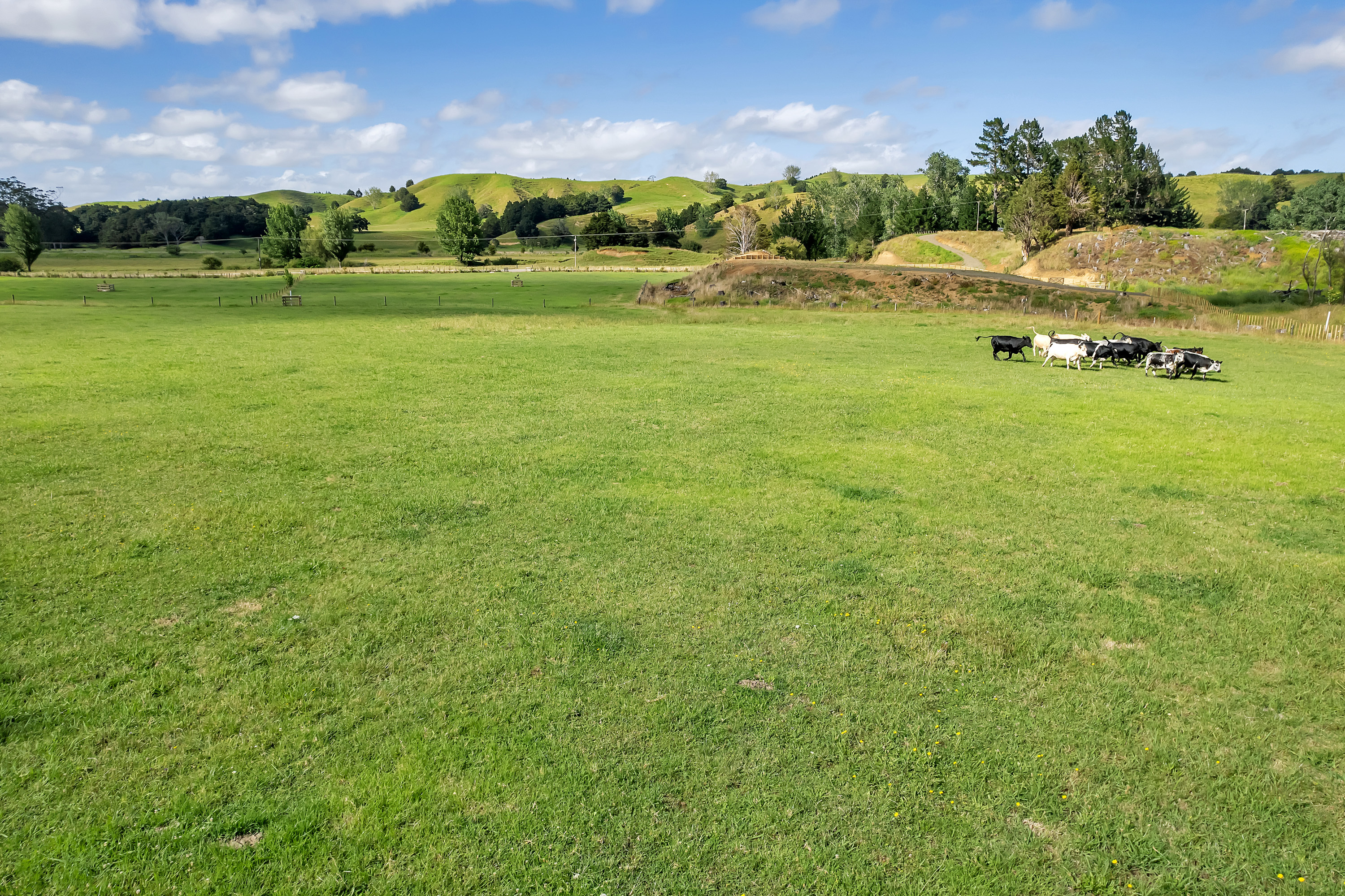 1628 Omana Road, Tangiteroria, Kaipara, 0 ਕਮਰੇ, 0 ਬਾਥਰੂਮ, Lifestyle Section