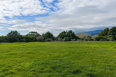 59 Harper Road, Hautere, Kapiti Coast, 0 Bedrooms, 0 Bathrooms, Lifestyle Section