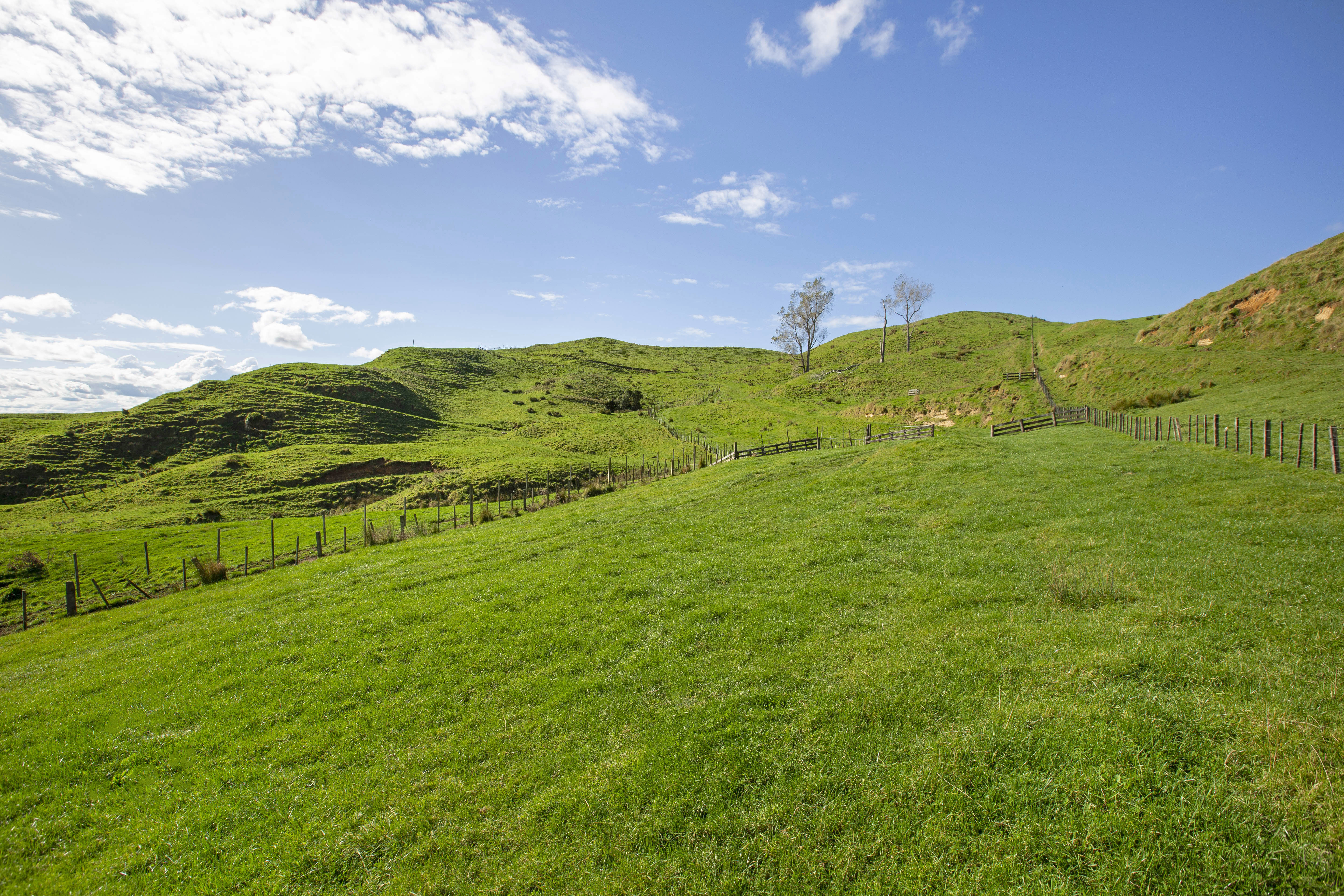 3099 State Highway 4, Aria, Waitomo, 0 phòng ngủ, 0 phòng tắm, Specialist Livestock