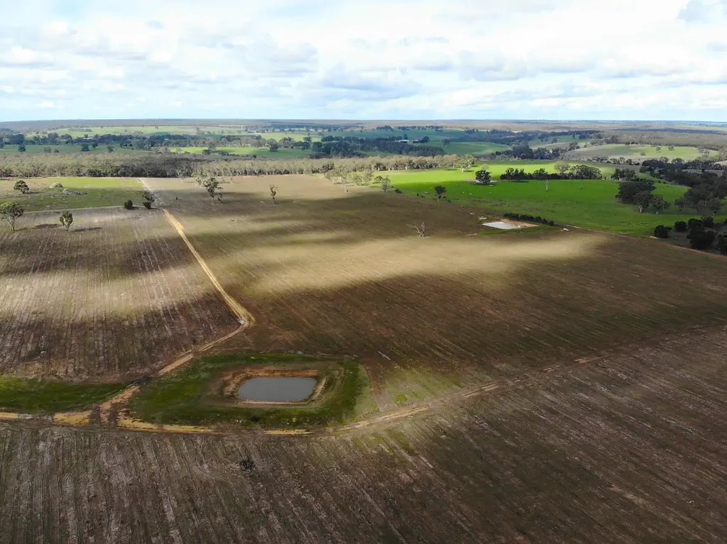 Dergholm  Harvested Blue Gum Plantation Block with Strong Potential