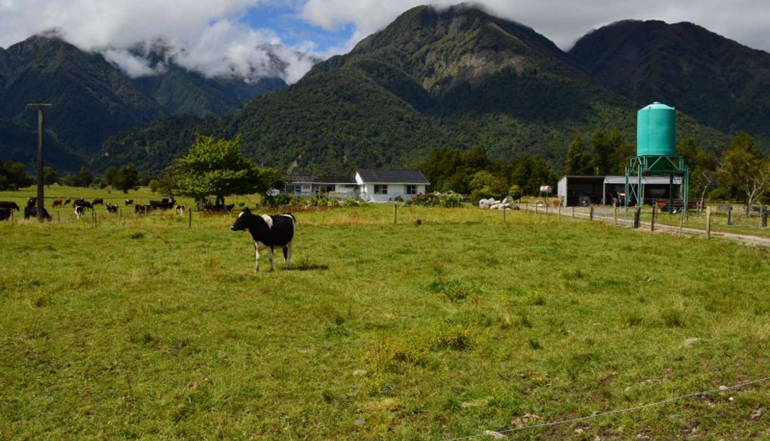 1861 Whataroa Highway, Whataroa, Westland, 4 ਕਮਰੇ, 1 ਬਾਥਰੂਮ