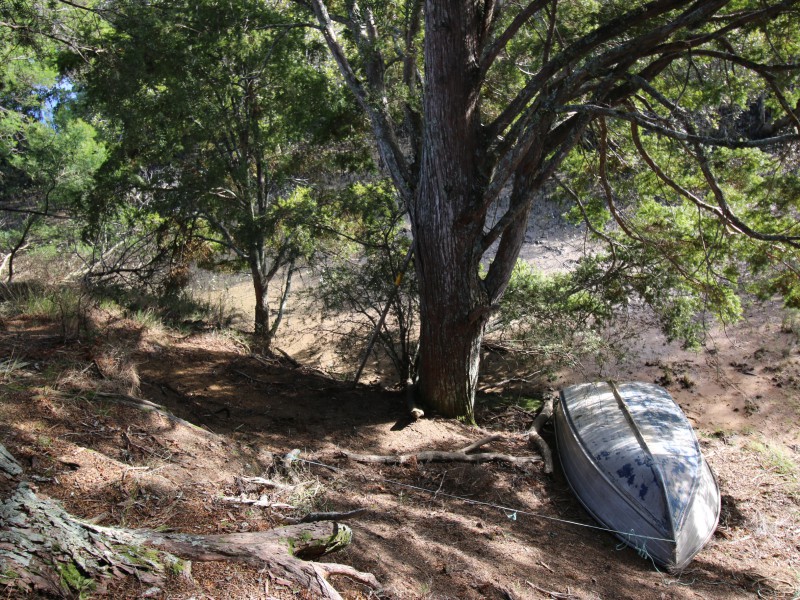 468 Mangamuka Road, Mangamuka, Far North, 0 rūma, 0 rūma horoi