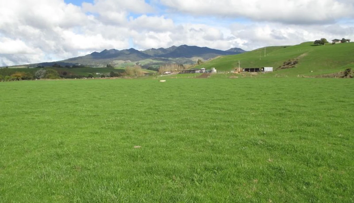 106 Limeworks Loop Road, Te Pahu, Waipa, 0 ਕਮਰੇ, 0 ਬਾਥਰੂਮ