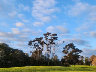 14 Third Fairway Place, Albany, Albany, North Shore City