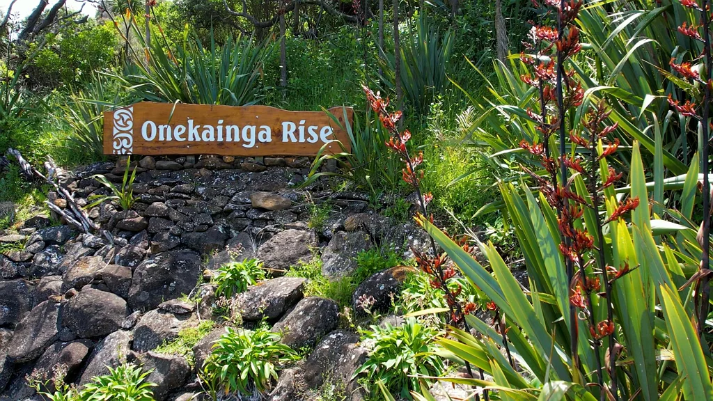 Whananaki  A Masterclass Subdivision