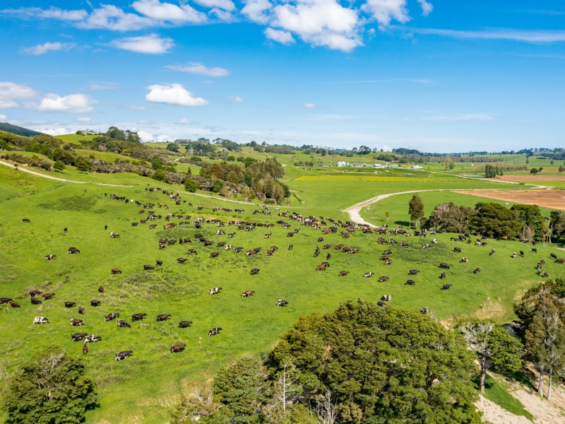 1153 Opanake Road, Dargaville Surrounds, Kaipara, 3 침실, 1 욕실