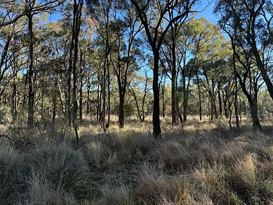 593 Goldfields Road, Stanthorpe, QLD 4380, 0房, 0浴, Section