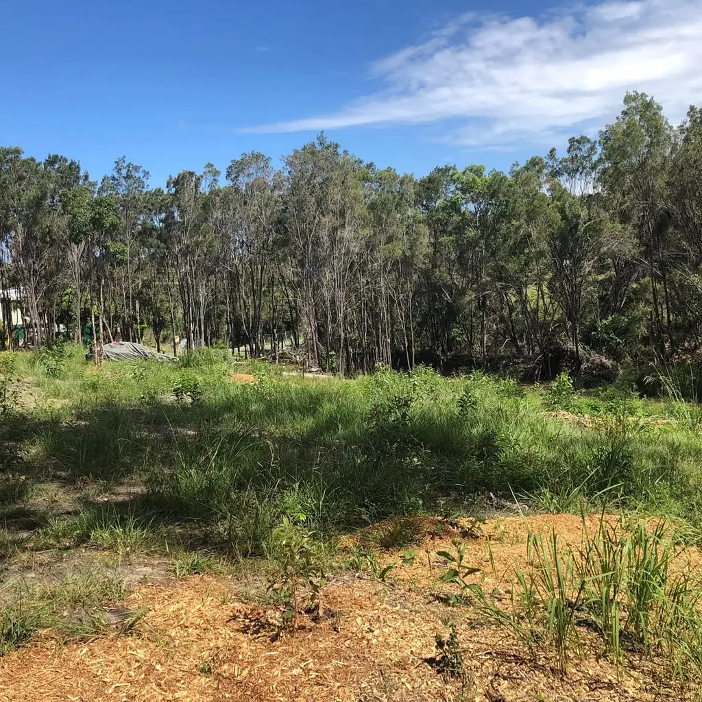 Macleay Island 已对建造四居室住宅的土地进行土壤测试 Soil Tested For a 4 Bedroom