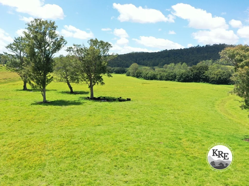 Kyogle IRRIGATION & LIVESTOCK PROPERTY - 443ML WATER ALLOCATION