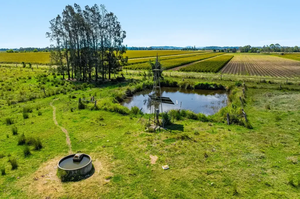  Reynolds Road, Codrington, NSW 2471