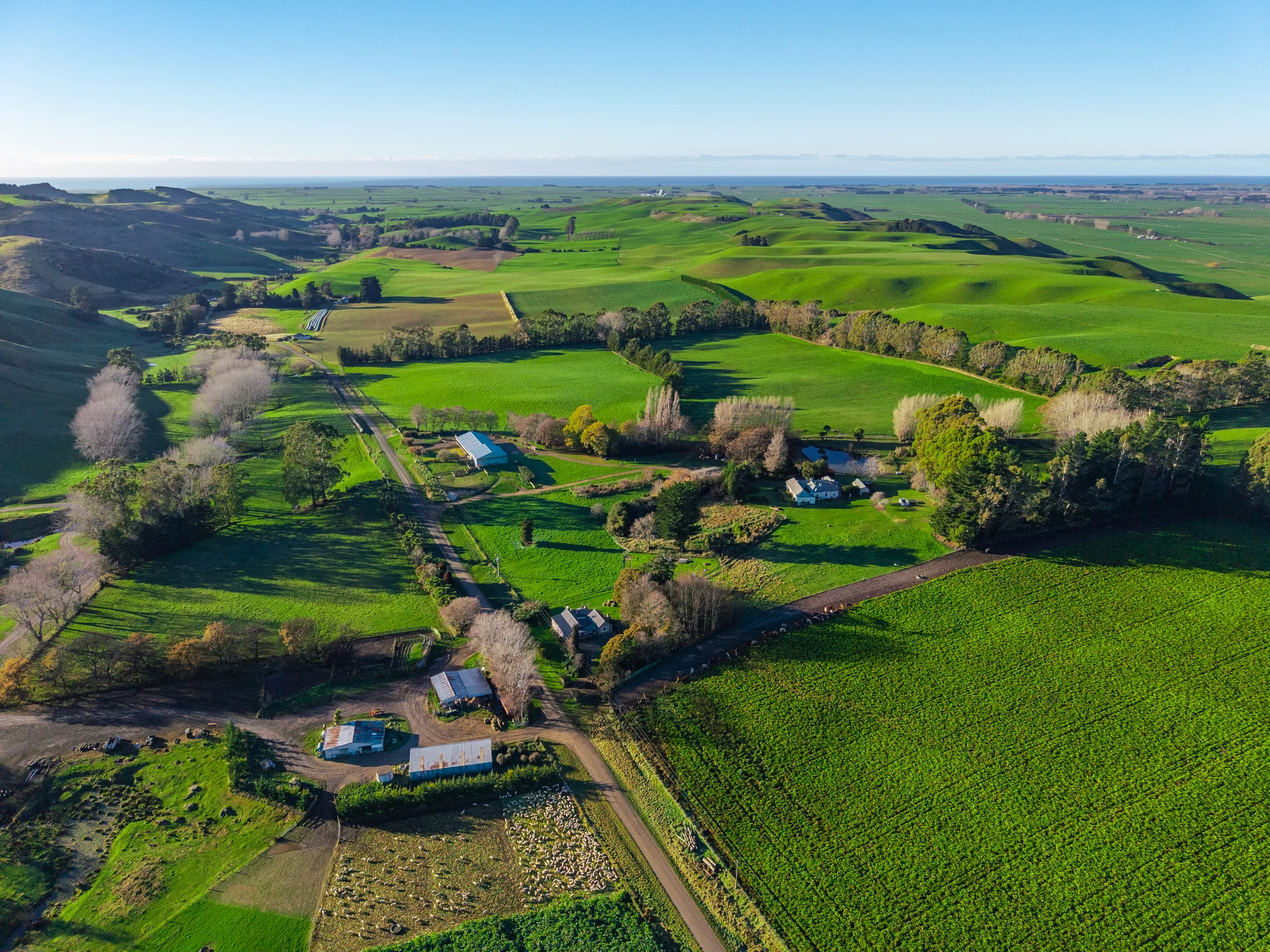 Ikawai Substantial opportunity - proven location