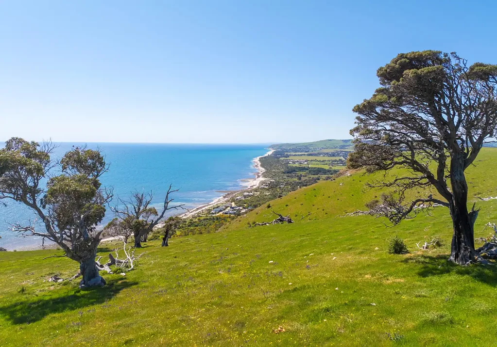 Lot 23 Main South Road, Normanville, SA 5204