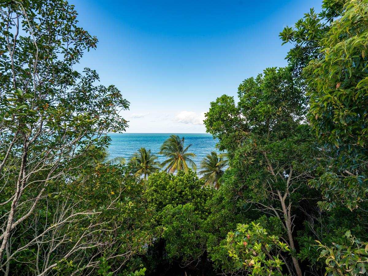 8 CUTTEN ST, BINGIL BAY QLD 4852, 0房, 0浴, Section