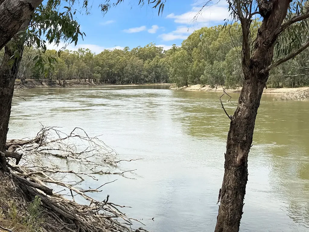 Narrandera 4房  UNIQUE RIVER PROPERTY